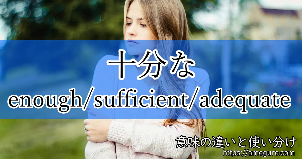 enough sufficient adequate(十分な)