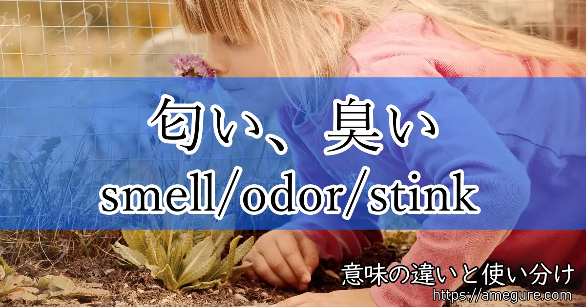 smell odor stink(匂い、臭い)