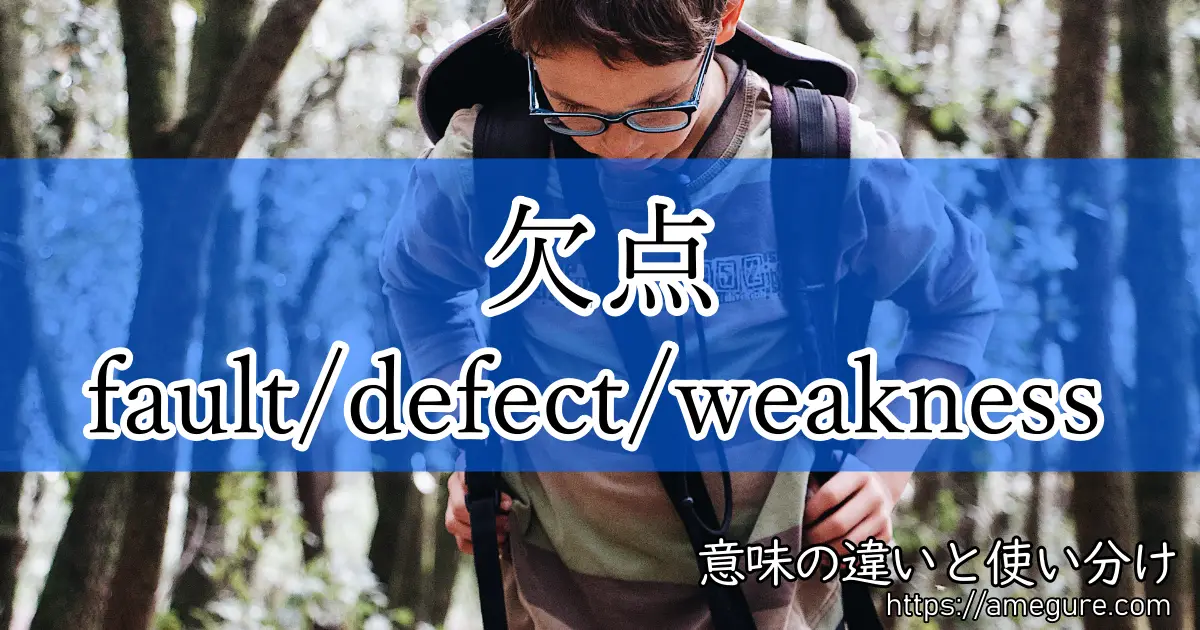 fault defect weakness(欠点)