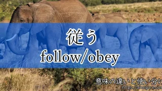 英語 Chase Follow Pursue 追う の意味の違いと使い分け