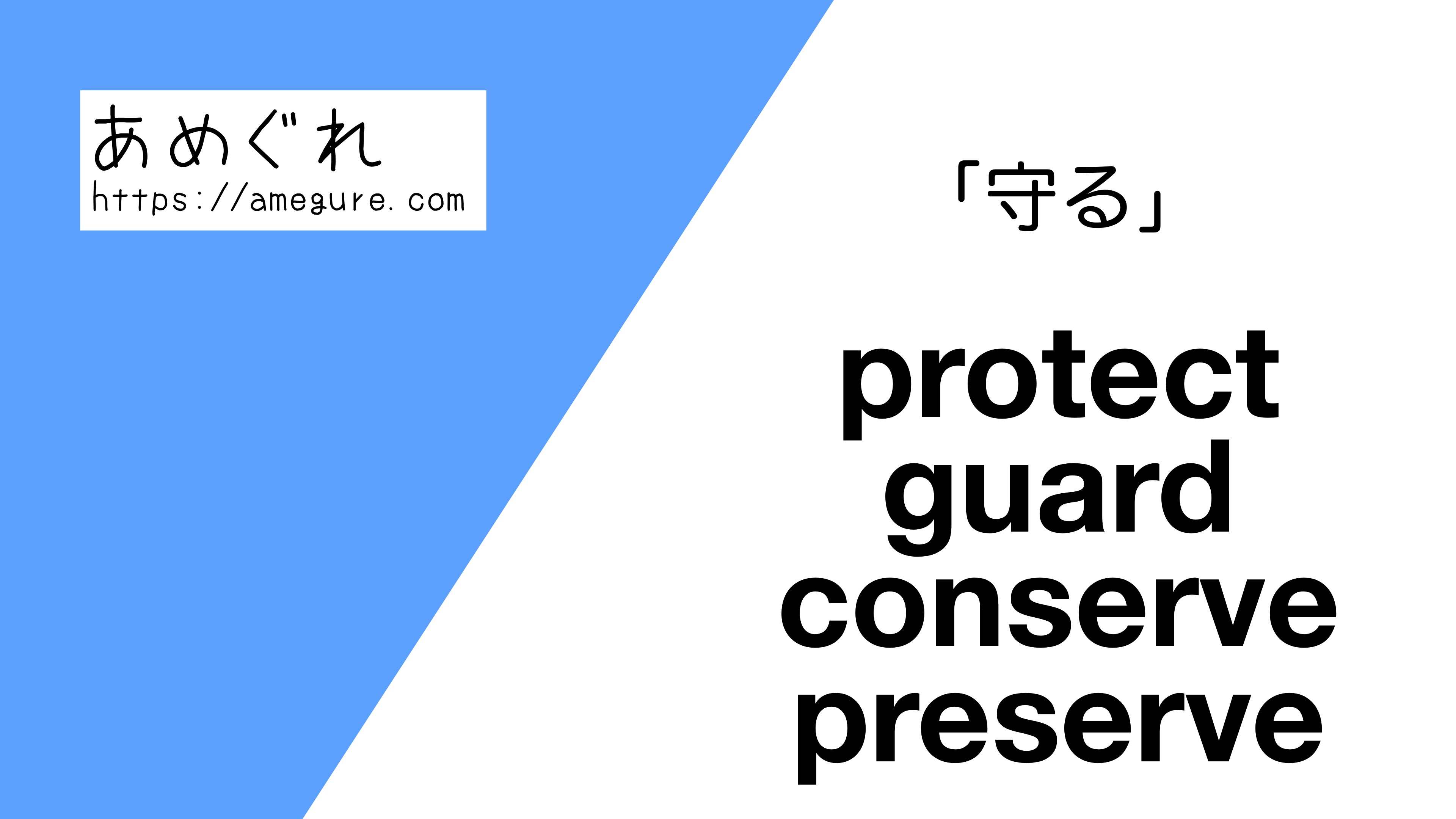 protect-guard-conserve-preserve違い
