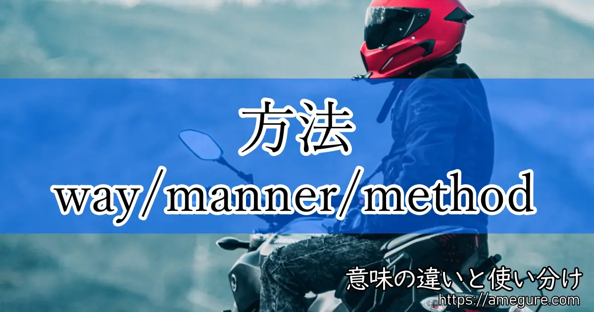 way manner method(方法)