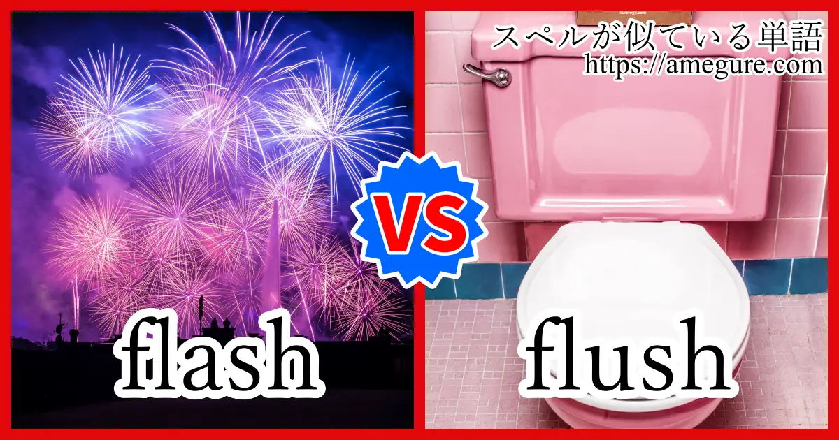 flash flush