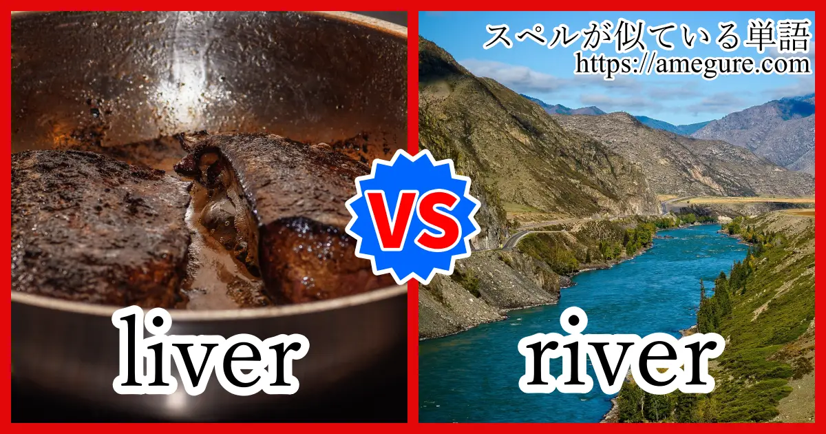 liver river