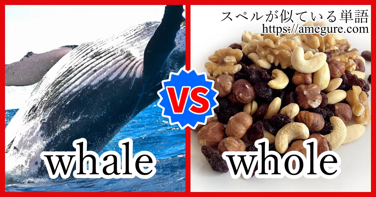 whale whole